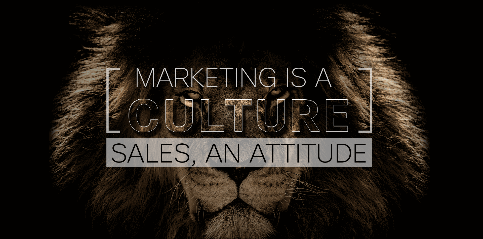 Marketing is a culture sales, an attitude.